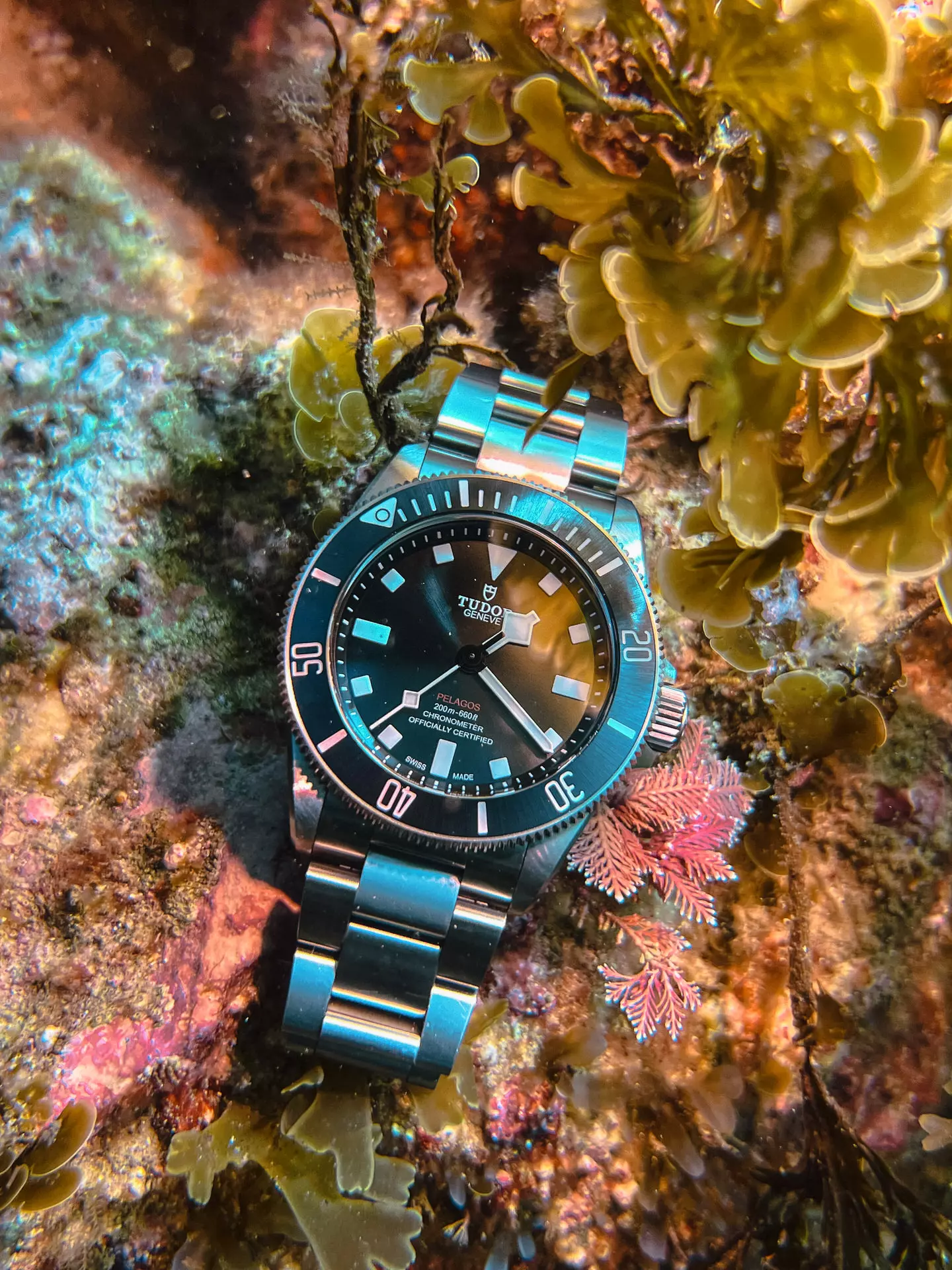 Diving with Tudor vintage modern. Craft Tailored